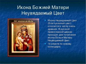 Православная молитва Богородице иконе неувядаемый цвет о замужестве