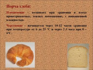 Что может сделать порча на хлеб