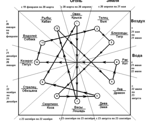 Векторная связь между знаками зодиака