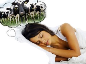 Что говорит сонник о значении сна с коровой