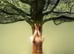 Очень мощная техника медитации Дерево Жизни