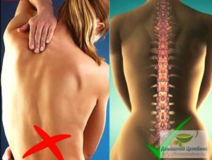 Что делать если болит спина и не здоров позвоночник