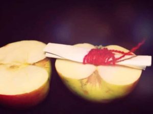 Как действует приворот мужчины на яблоко