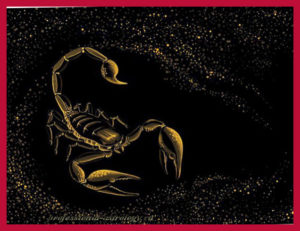 День 11 ноября знак зодиака Скорпион